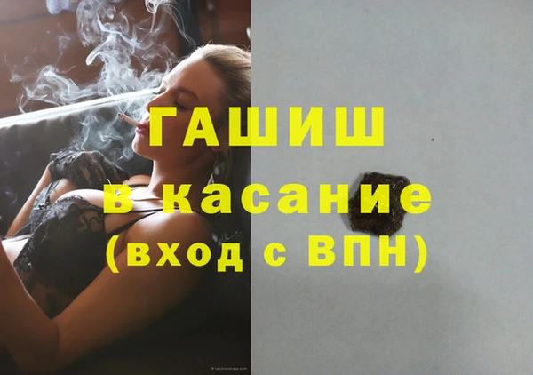 стаф Аркадак
