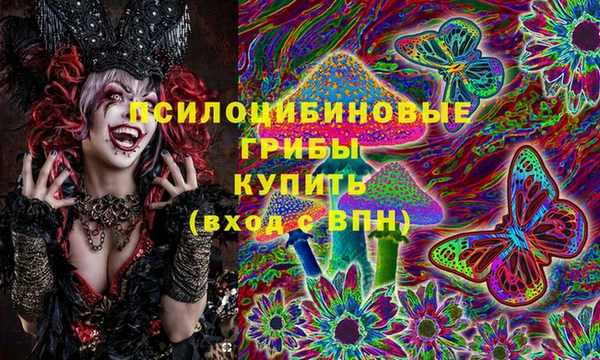 ALPHA-PVP Вяземский