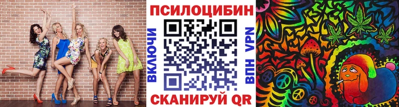 купить  сайты  Вологда  Псилоцибиновые грибы Magic Shrooms 