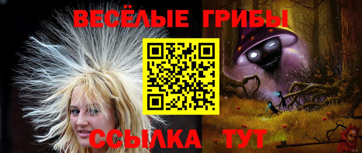 Псилоцибиновые грибы Psilocybine cubensis  где купить наркотик  Вологда  Вход с VPN  Псилоцибиновые грибы Psilocybe 