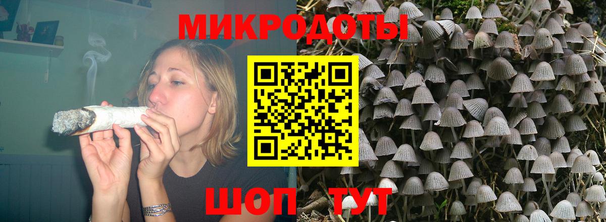 Галлюциногенные грибы GOLDEN TEACHER Вологда